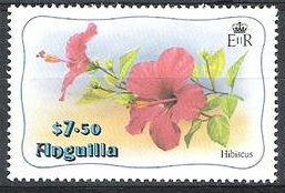 Hibiscus