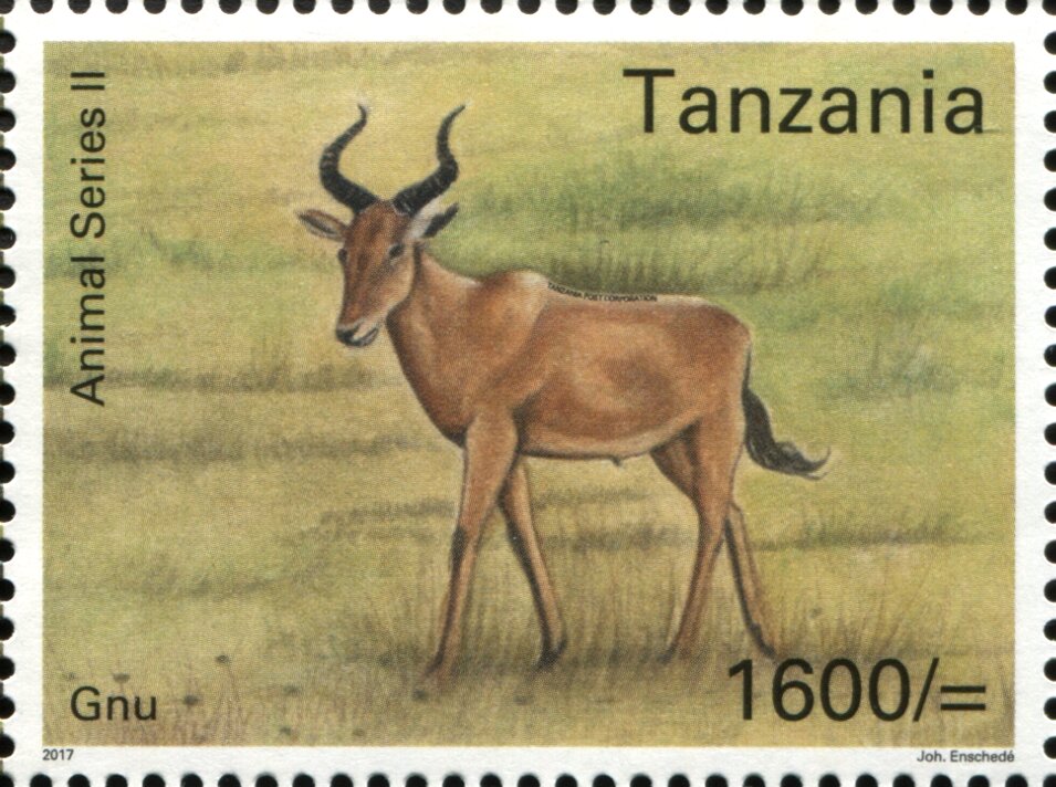 Gnu