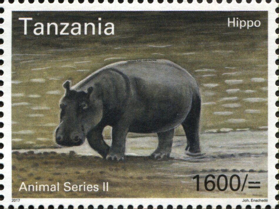 Hippo