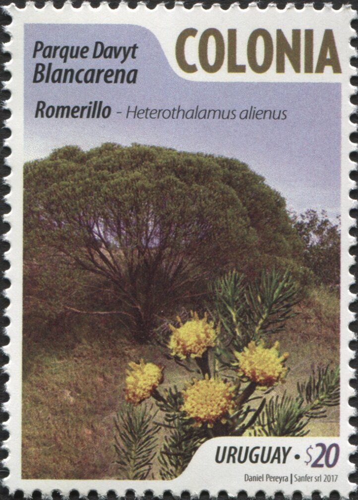 Davyt Blancarena Park