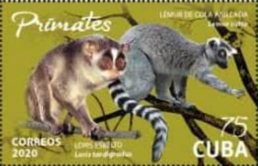 Lemurs