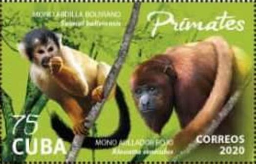 Monkeys
