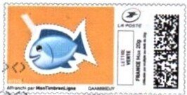 Fish on Orange background