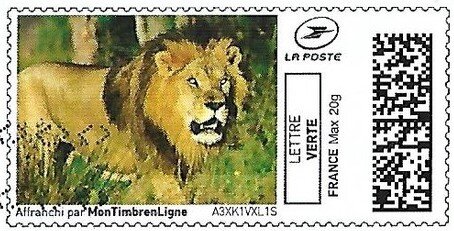 Male Lion