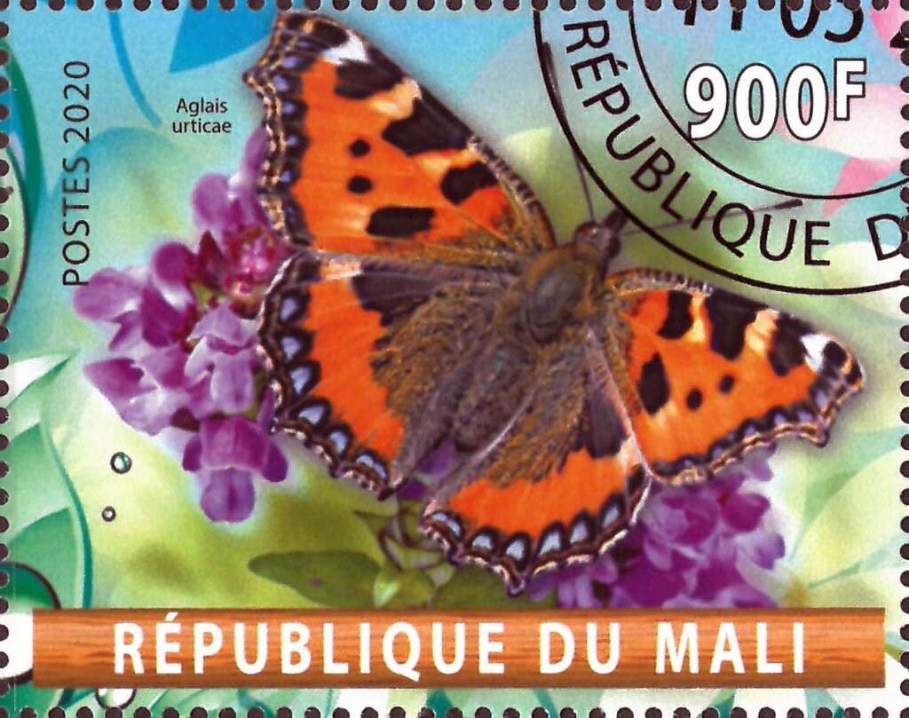 Aglais urticae