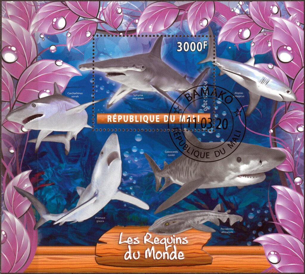 Les Requins du Monde