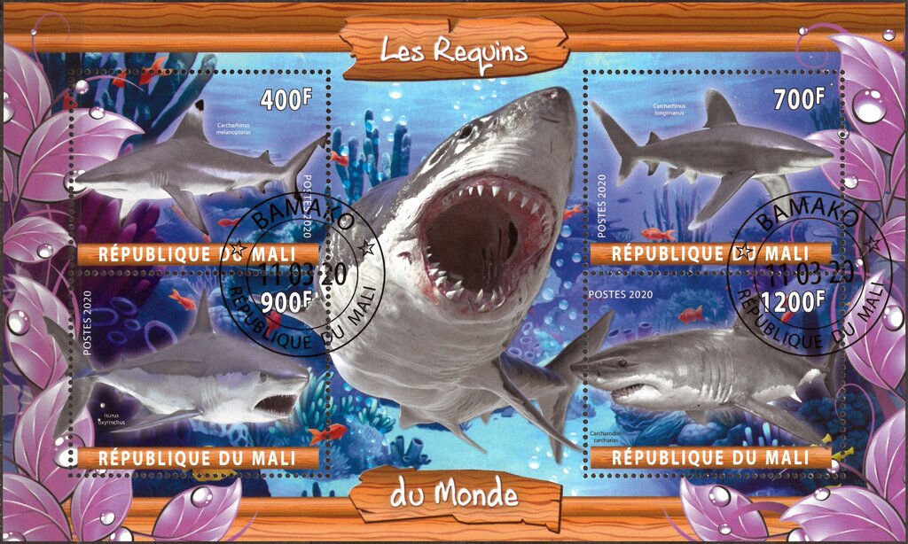 Les Requins du Monde