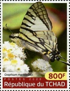 Stamp, Graphium mandarinus, Chad,  , Animals (Fauna), Butterflies, Insects