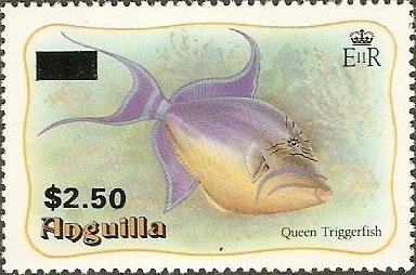 Queen Triggerfish (Balistes vetula)
