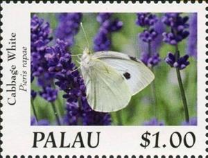 Stamp, Cabbage White (Pieris rapae), Palau,  , Animals (Fauna), Butterflies, Insects