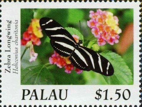 Zebra Longwing (Heliconius charitonia)