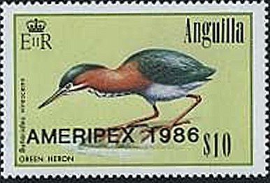 Green Heron (Butorides virescens)