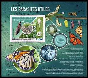 Souvenir Sheet, Apoanagyrus lopezi, Togo,  , Diseases