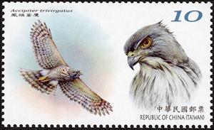 Stamp, Crested Goshawk (Accipiter trivirgatus), Taiwan (Republic of China),  , Animals (Fauna), Birds, Birds of Prey
