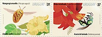 Flowers and Pollinators