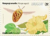 Flowers and Pollinators