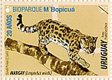 M'Bopicuá Biopark 20th Anniversary