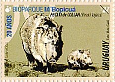 M'Bopicuá Biopark 20th Anniversary