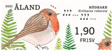 European Robin (Erithacus rubecula)