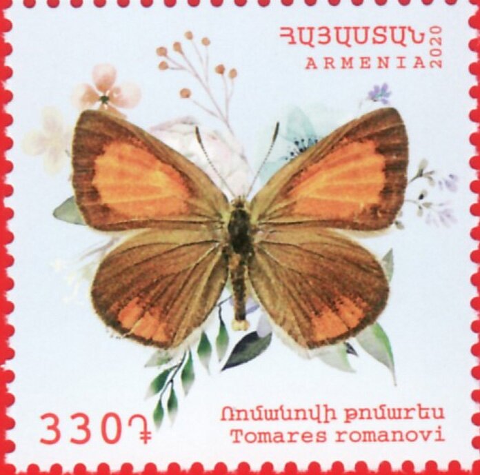 Romanoff's Hairstreak (Tomares romanovi)