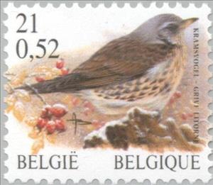 Stamp, Fieldfare (Turdus pilaris), Belgium,  , Animals (Fauna), Birds