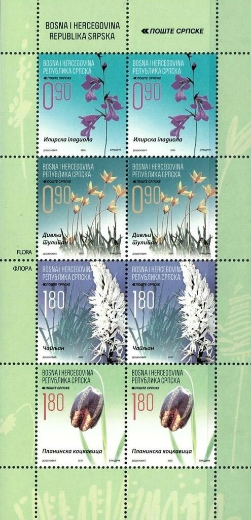 Flora