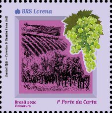 Stamp, BRS Lorena, Brazil,  , Fruits, Grapes, Plants (Flora), Wine