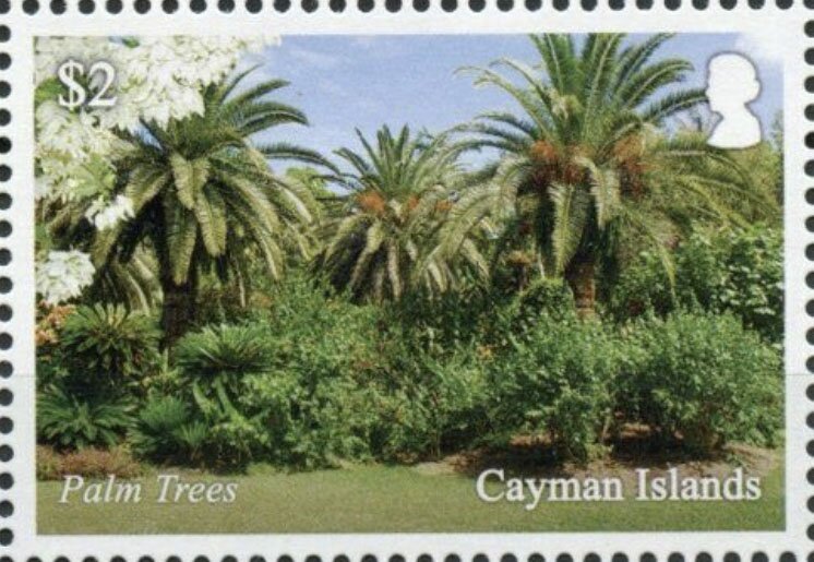 Palm Trees