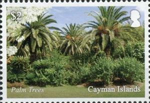 Stamp, Palm Trees, Cayman Islands,  , Gardens, Palm-trees, Plants (Flora)