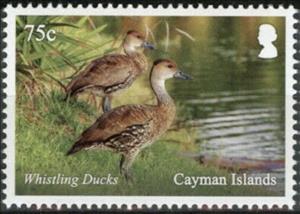 Stamp, Whistling Ducks, Cayman Islands,  , Animals (Fauna), Birds, Ducks, Gardens