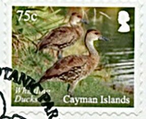 Stamp, Whistling Ducks, Cayman Islands,  , Animals (Fauna), Birds, Ducks, Gardens
