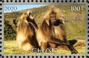Stamp, Baboons, Cinderellas,  , Animals (Fauna), Monks