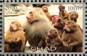 Stamp, Baboons, Cinderellas,  , Animals (Fauna), Monks