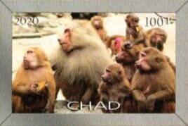 Stamp, Baboons, Cinderellas,  , Animals (Fauna), Monks