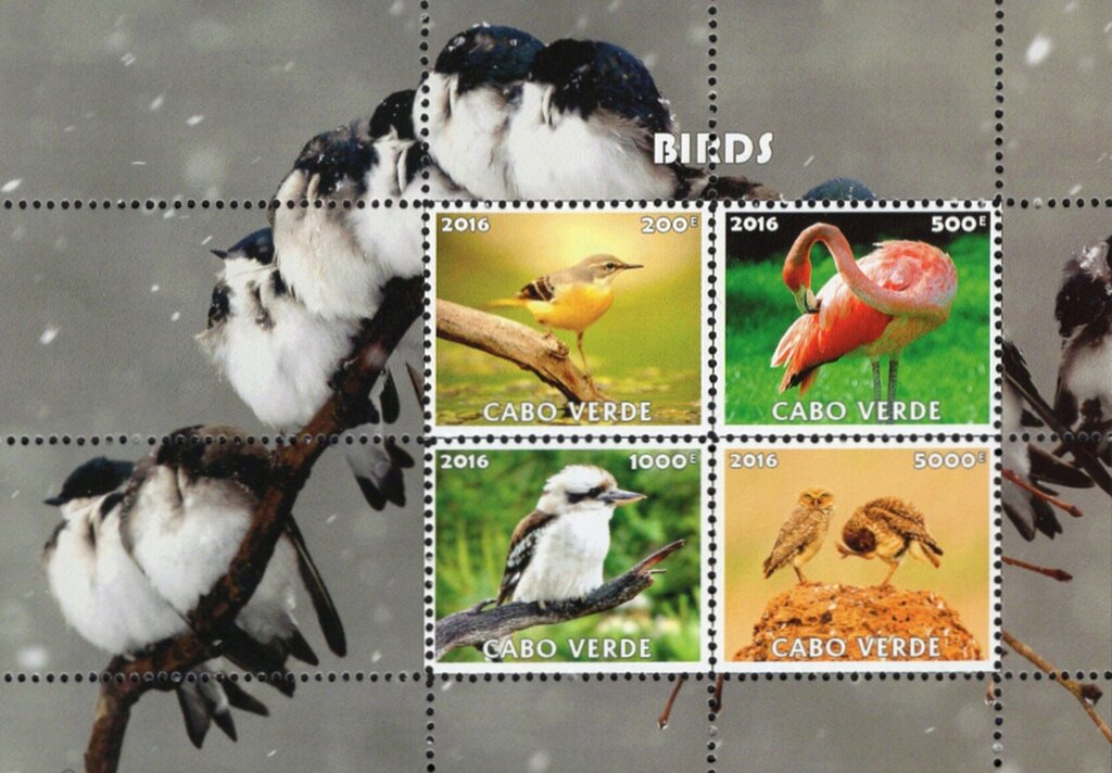 Birds
