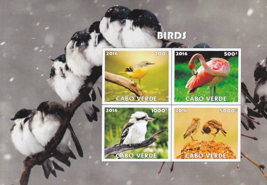 Birds