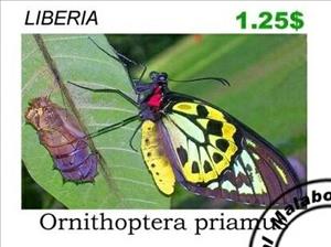 Stamp, Butterflies, Cinderellas,  , Butterflies