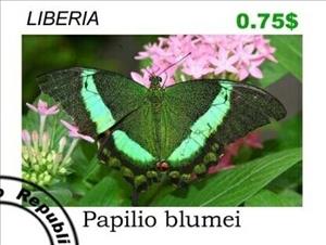 Stamp, Butterflies, Cinderellas,  , Butterflies