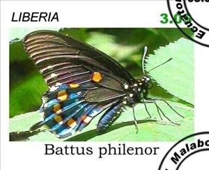 Stamp, Butterflies, Cinderellas,  , Butterflies