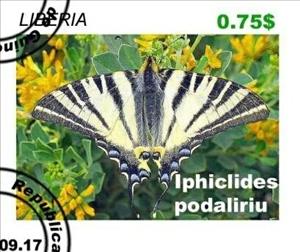 Stamp, Butterflies, Cinderellas,  , Butterflies