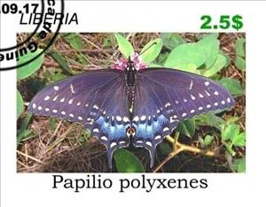Stamp, Butterflies, Cinderellas,  , Butterflies