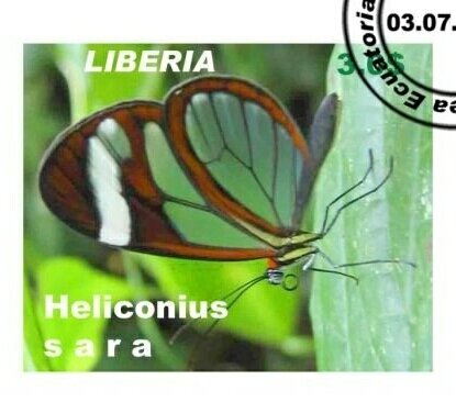 Butterflies