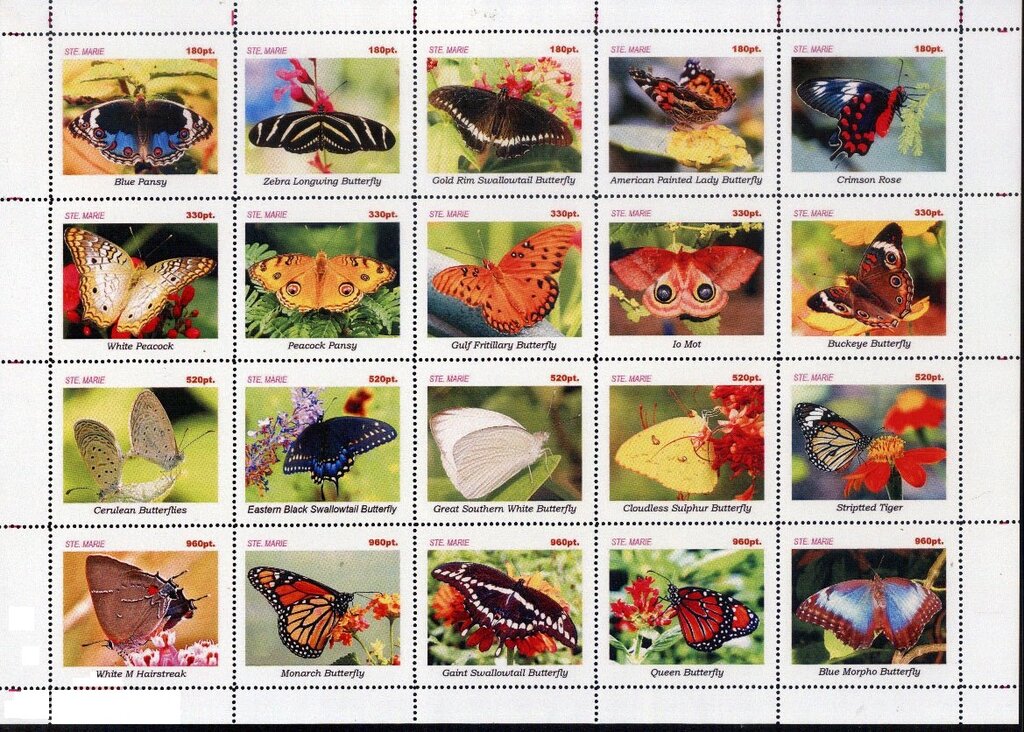 Butterflies