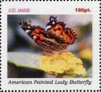 Butterflies