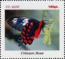 Butterflies
