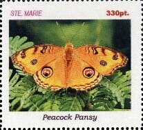 Stamp, Butterflies, Cinderellas,  , Butterflies, Insects