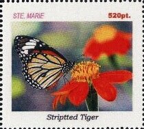 Butterflies