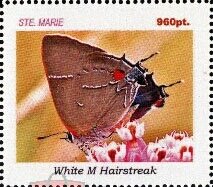 Butterflies