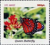 Butterflies