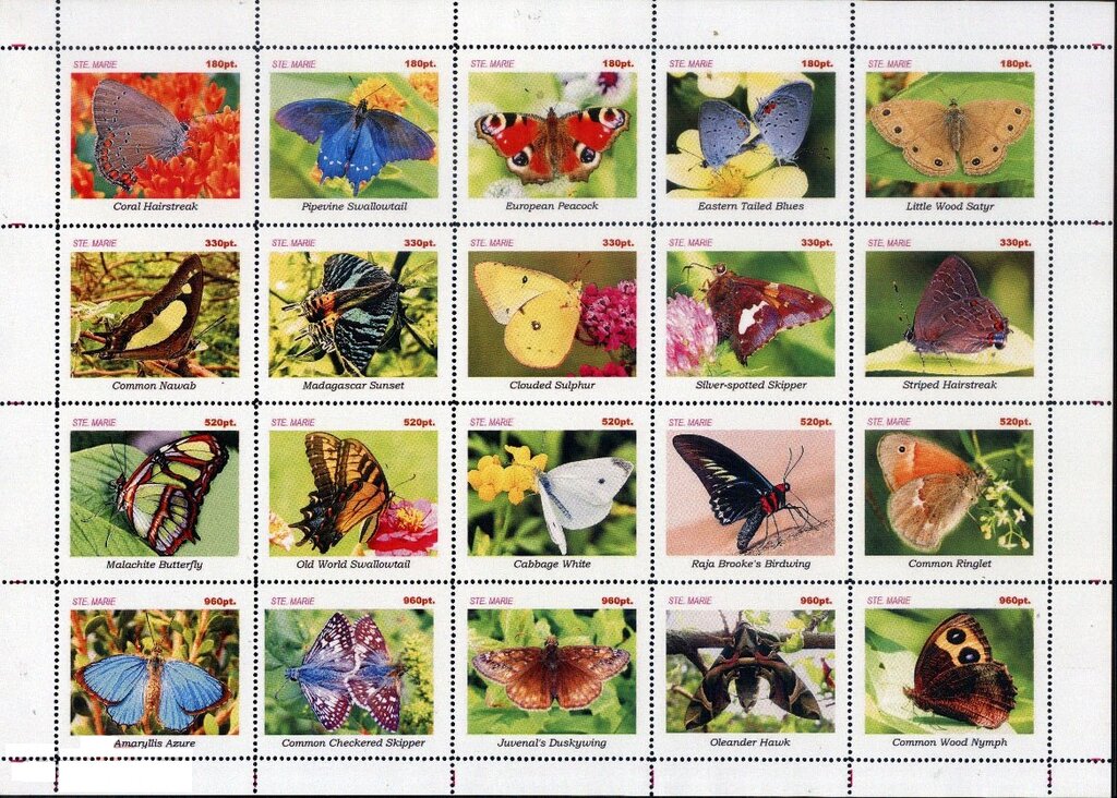 Butterflies